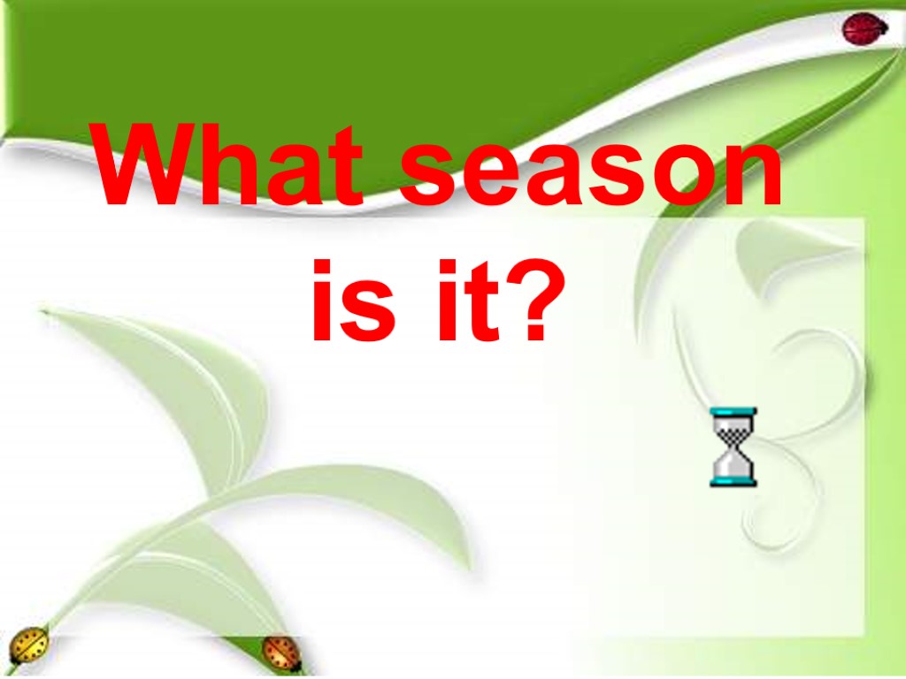 What season is it?